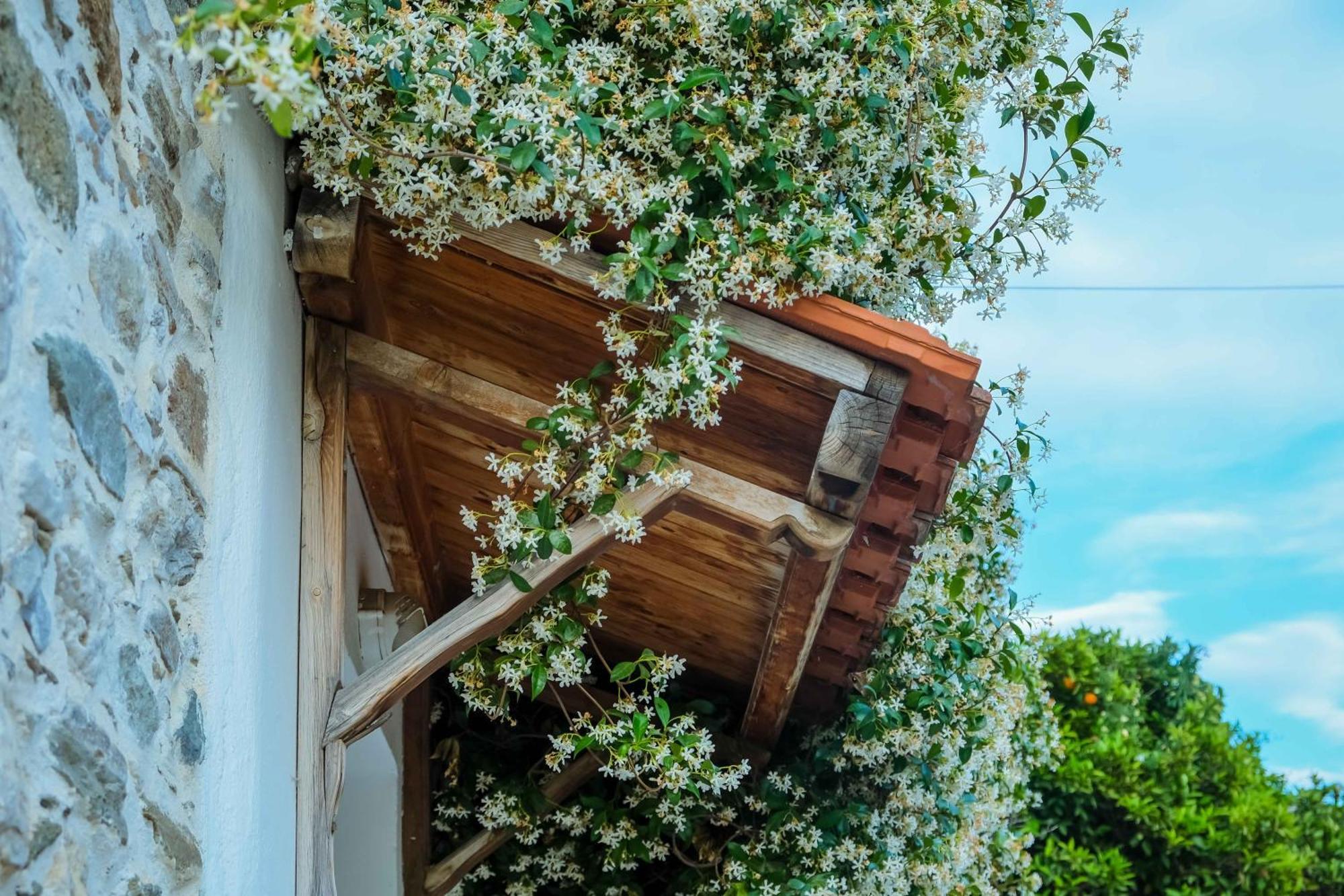 Cozy House In Pelion Apartment Kato Lekhonia Luaran gambar
